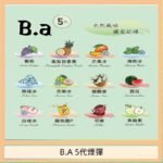 B.A 5代主機煙彈電子煙一盒三顆